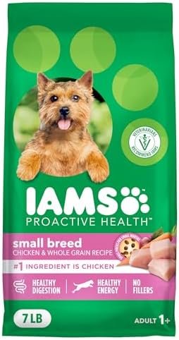 41iTqt2uroL. AC 41iTqt2uroL. AC