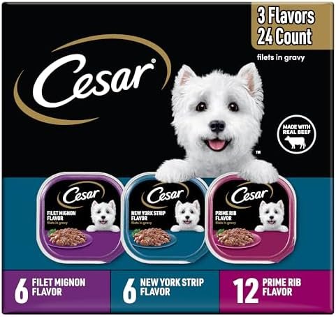 51AVgYrijhL. AC 51AVgYrijhL. AC