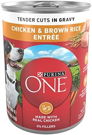 Dog Food: 7 Ultimate Checklist For Best Nutrition In 2026 16 51tMFs9wVkL. AC 1 51tMFs9wVkL. AC 1